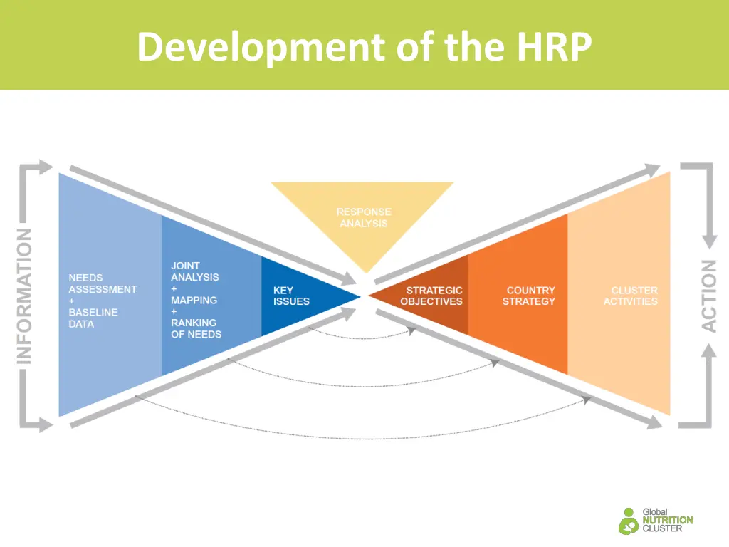 development of the hrp