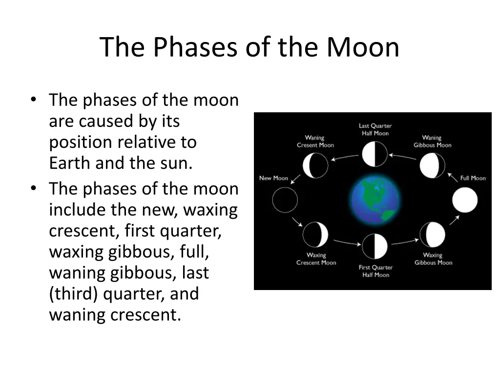 the phases of the moon