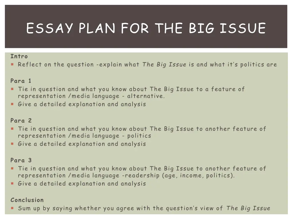 essay plan for the big issue