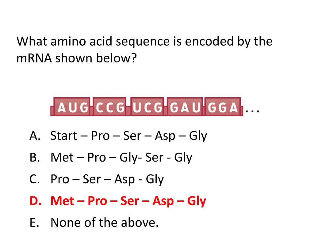 what amino acid sequence is encoded by the mrna