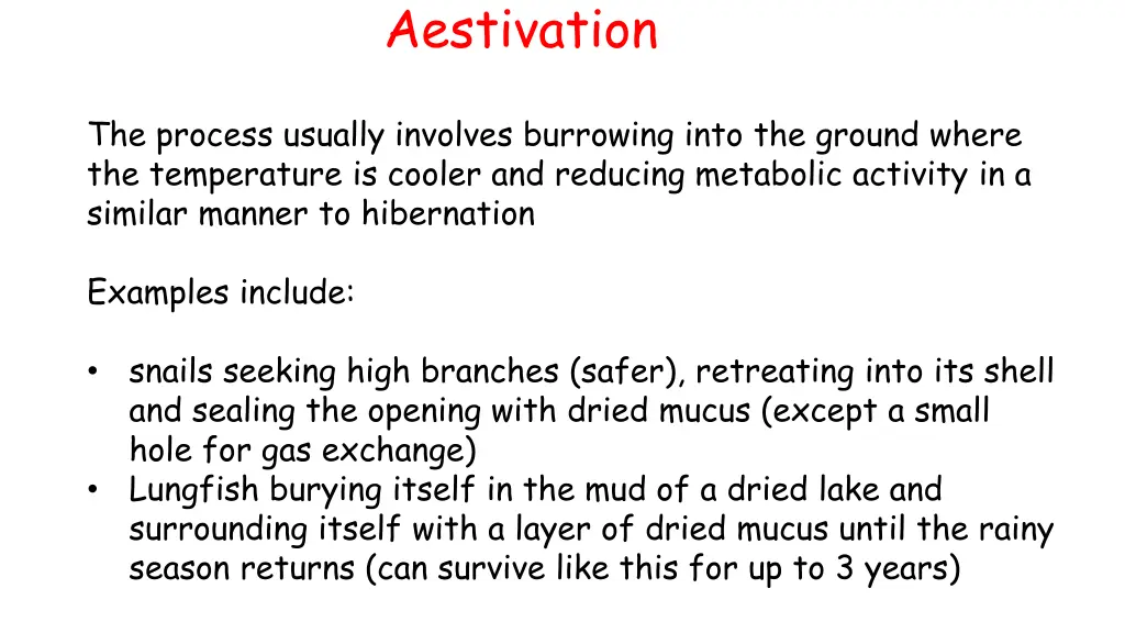 aestivation 1