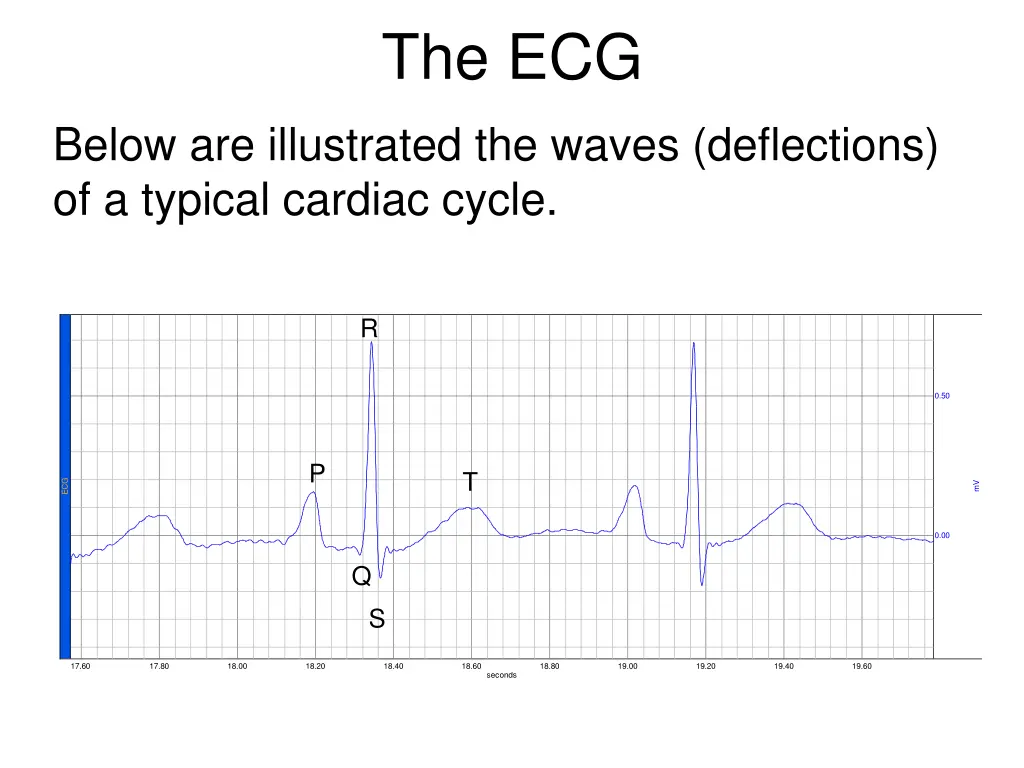 the ecg