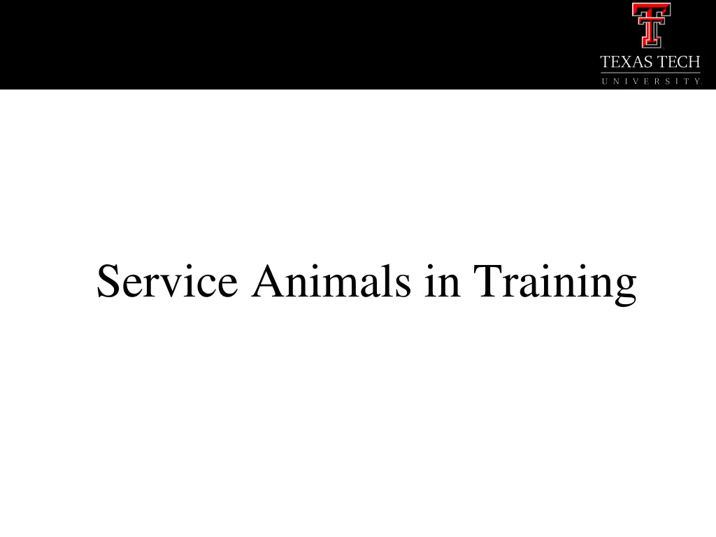 service animals in training