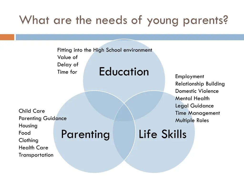 what are the needs of young parents