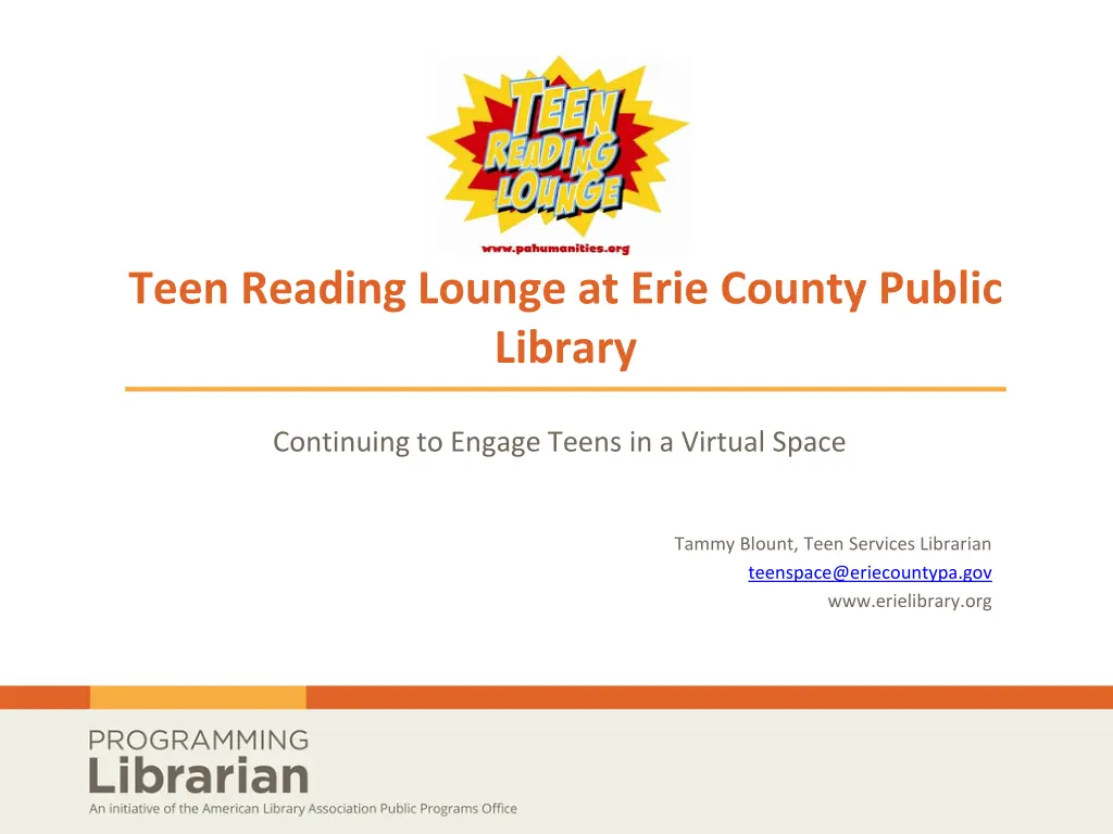 teen reading lounge at erie county public library