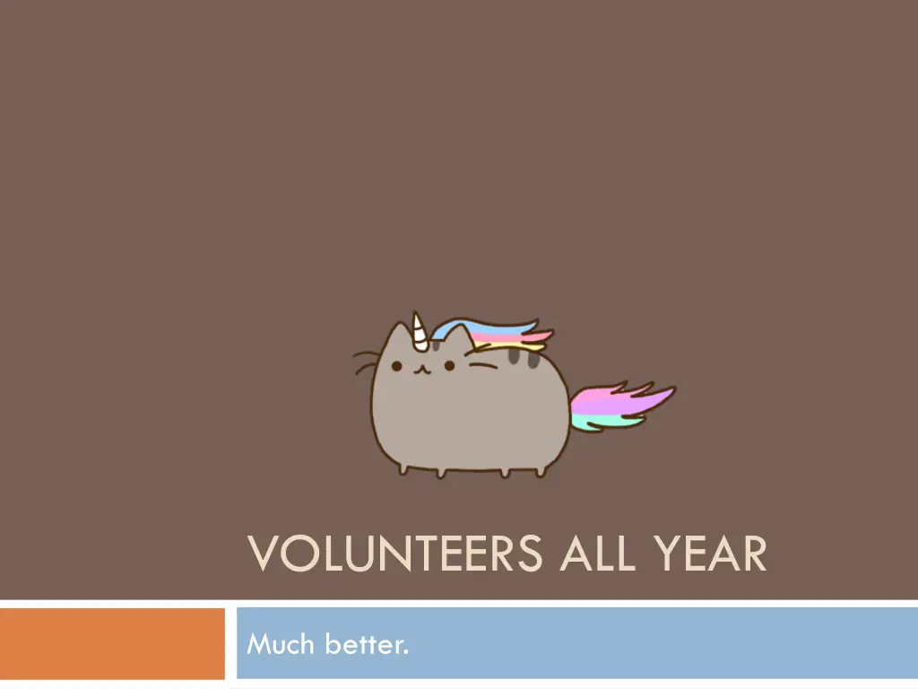 volunteers all year 1