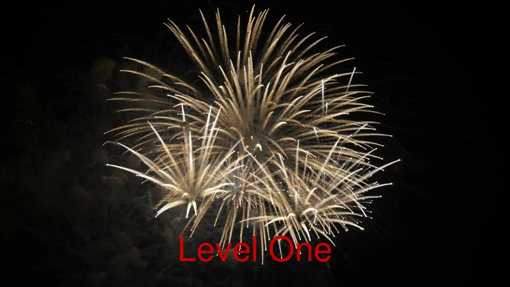 level one