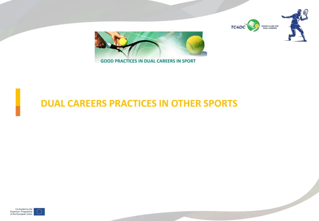 dual careers practices in other sports