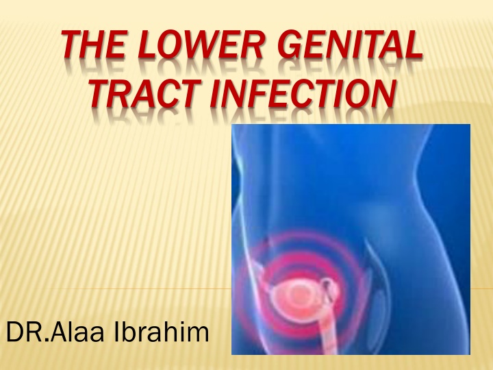 the lower genital tract infection