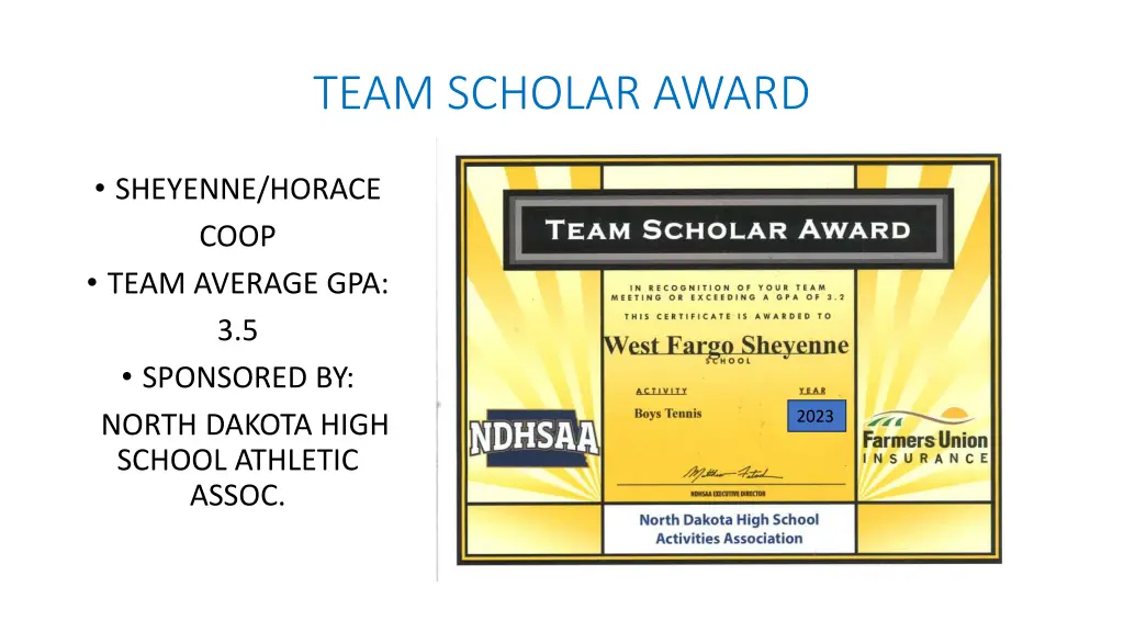 team scholar award