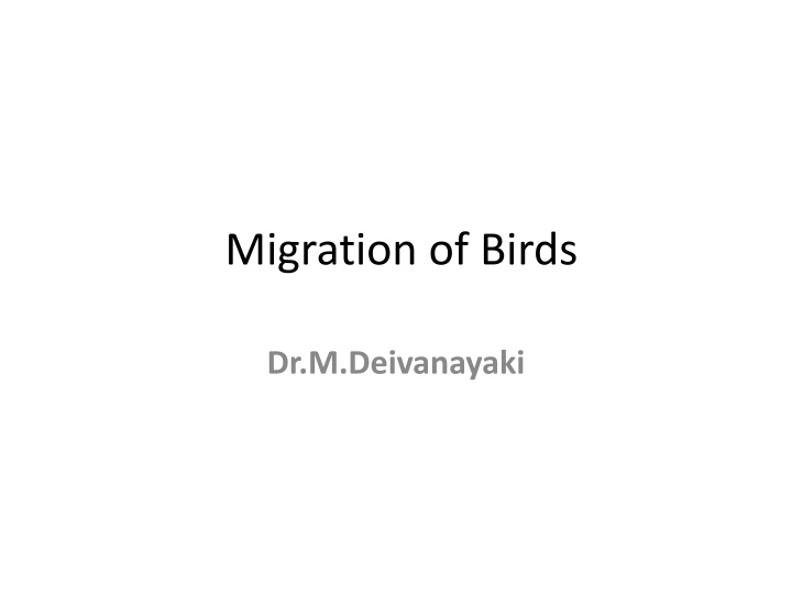 migration of birds