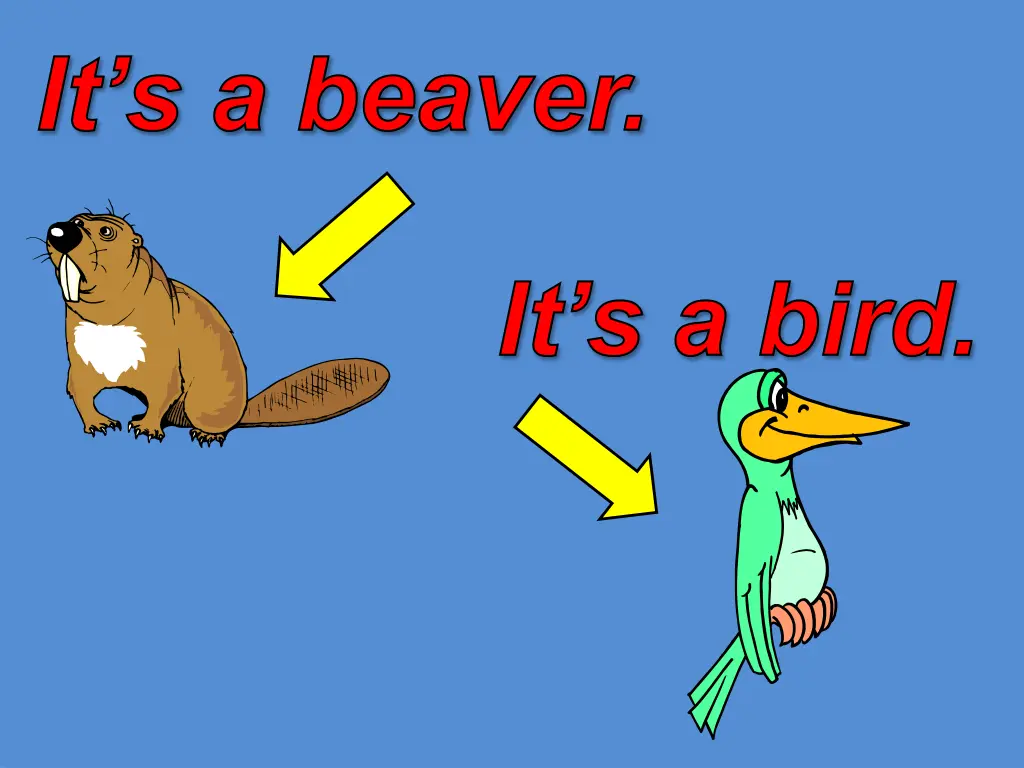 it s a beaver