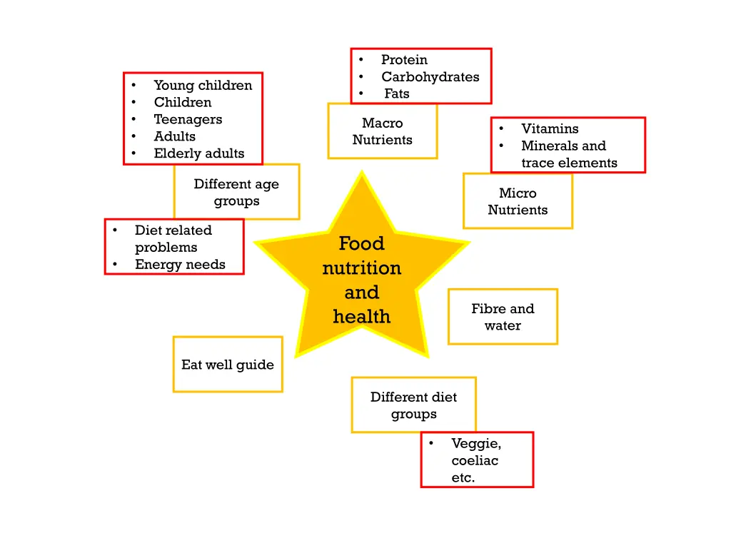 protein carbohydrates fats