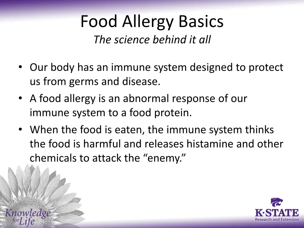 food allergy basics the science behind it all