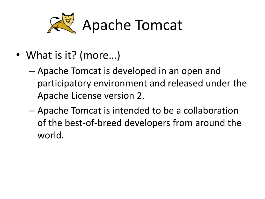 apache tomcat 2