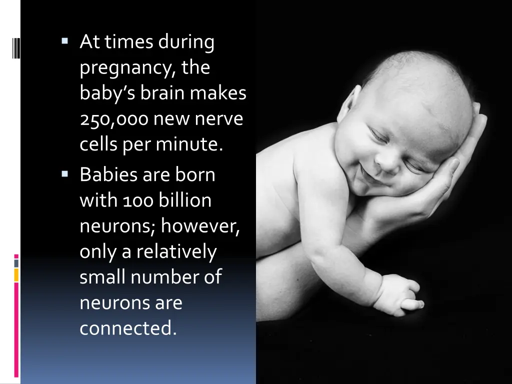 at times during pregnancy the baby s brain makes