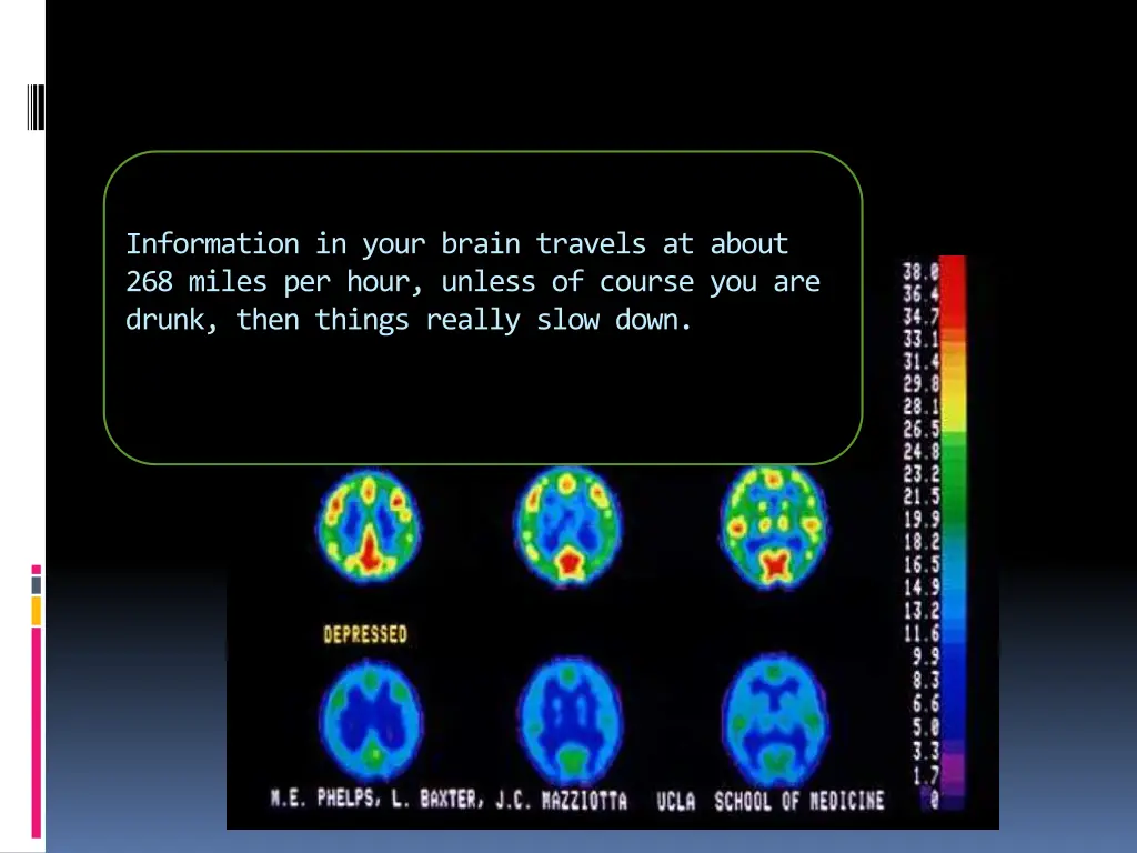 information in your brain travels at about