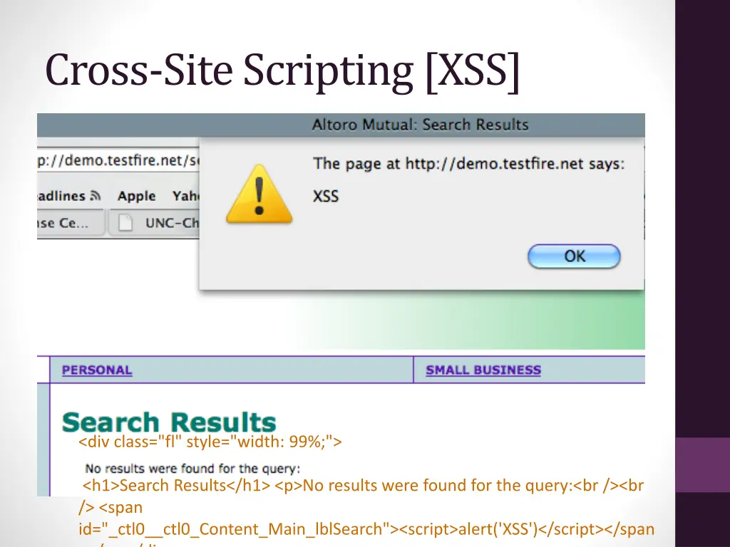 cross site scripting xss 3