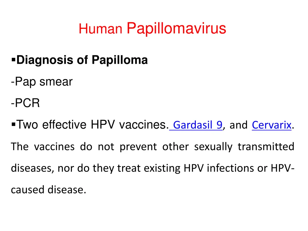 human papillomavirus 3