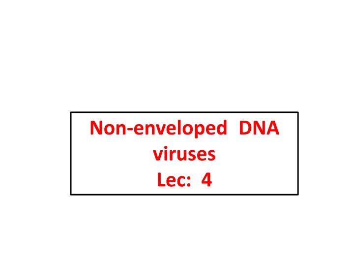 non enveloped dna viruses lec 4