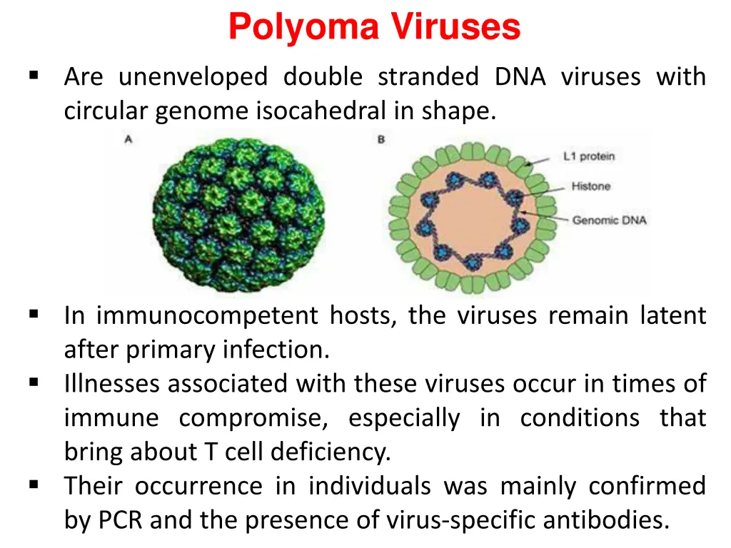 polyoma viruses