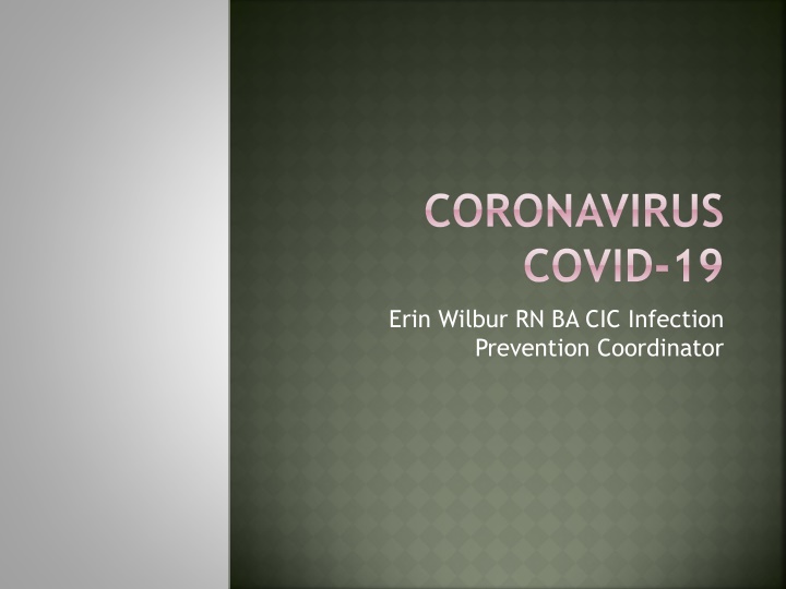 coronavirus covid 19