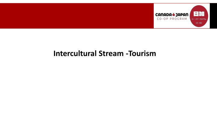 intercultural stream tourism