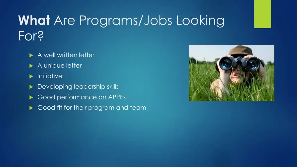 what are programs jobs looking for