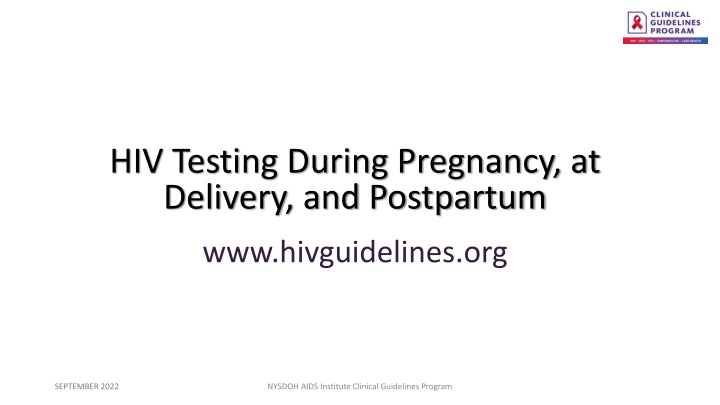 hiv testing during pregnancy at delivery