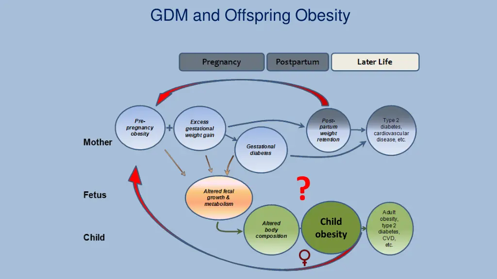 gdm and offspring obesity