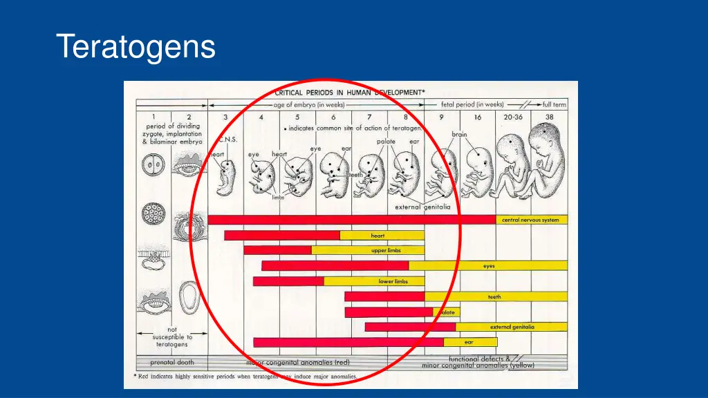 teratogens