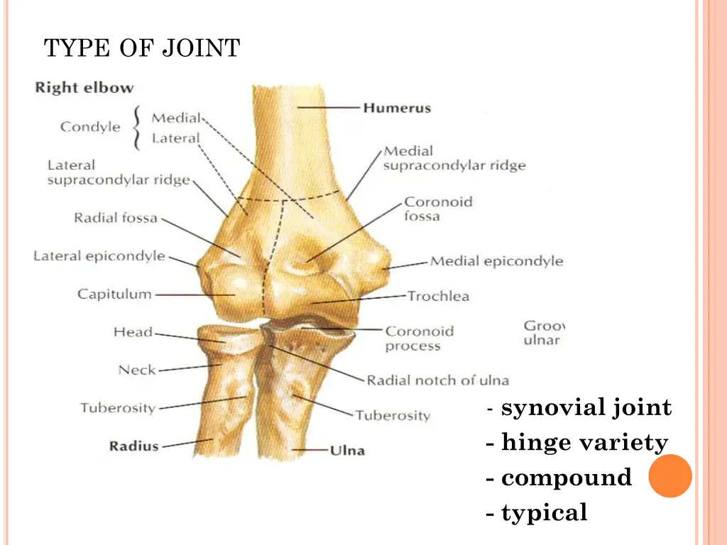 type of joint