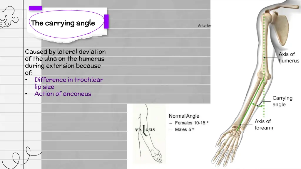 the carrying angle the carrying angle