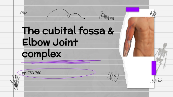 the cubital fossa the cubital fossa elbow joint