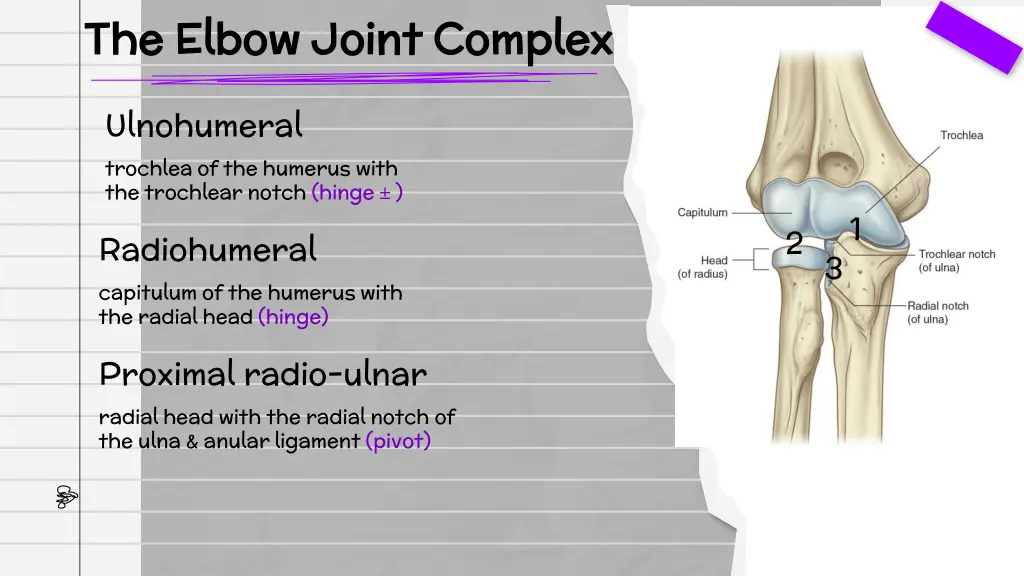 the elbow joint complex the elbow joint complex