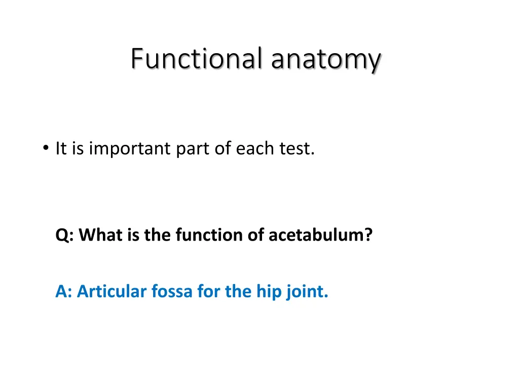 functional anatomy