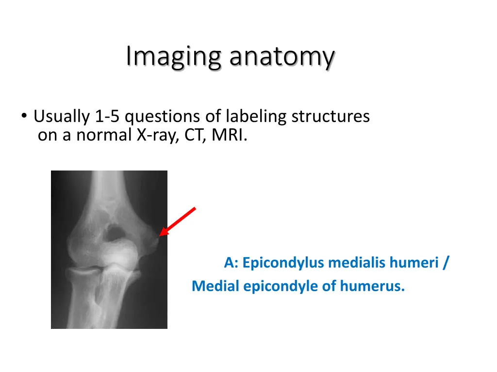 imaging anatomy