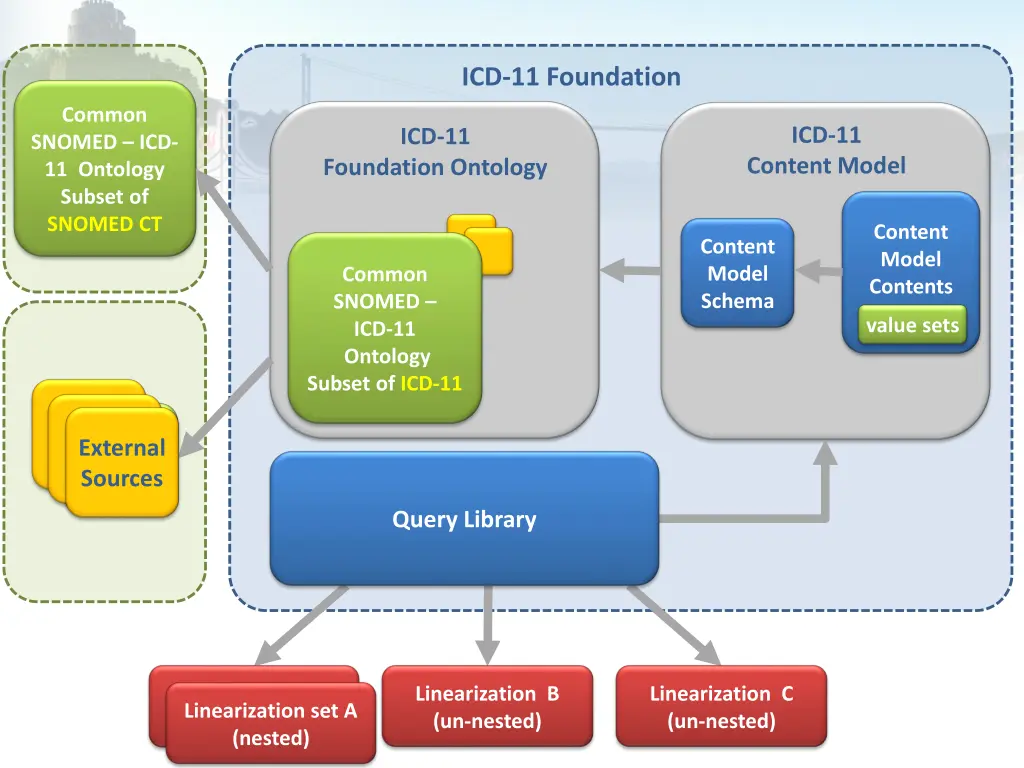 icd 11 foundation 1