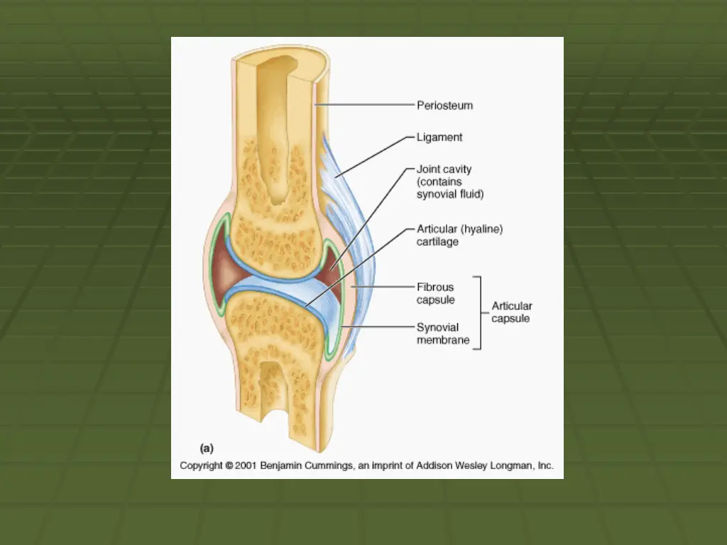 slide11