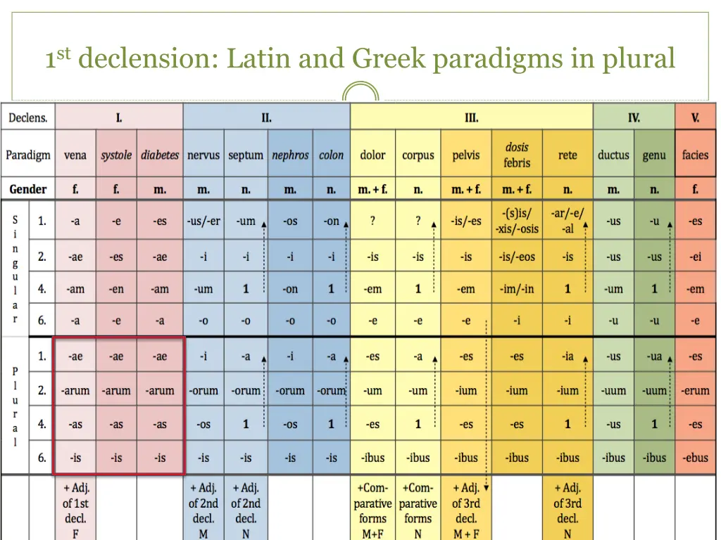 1 st declension latin and greek paradigms