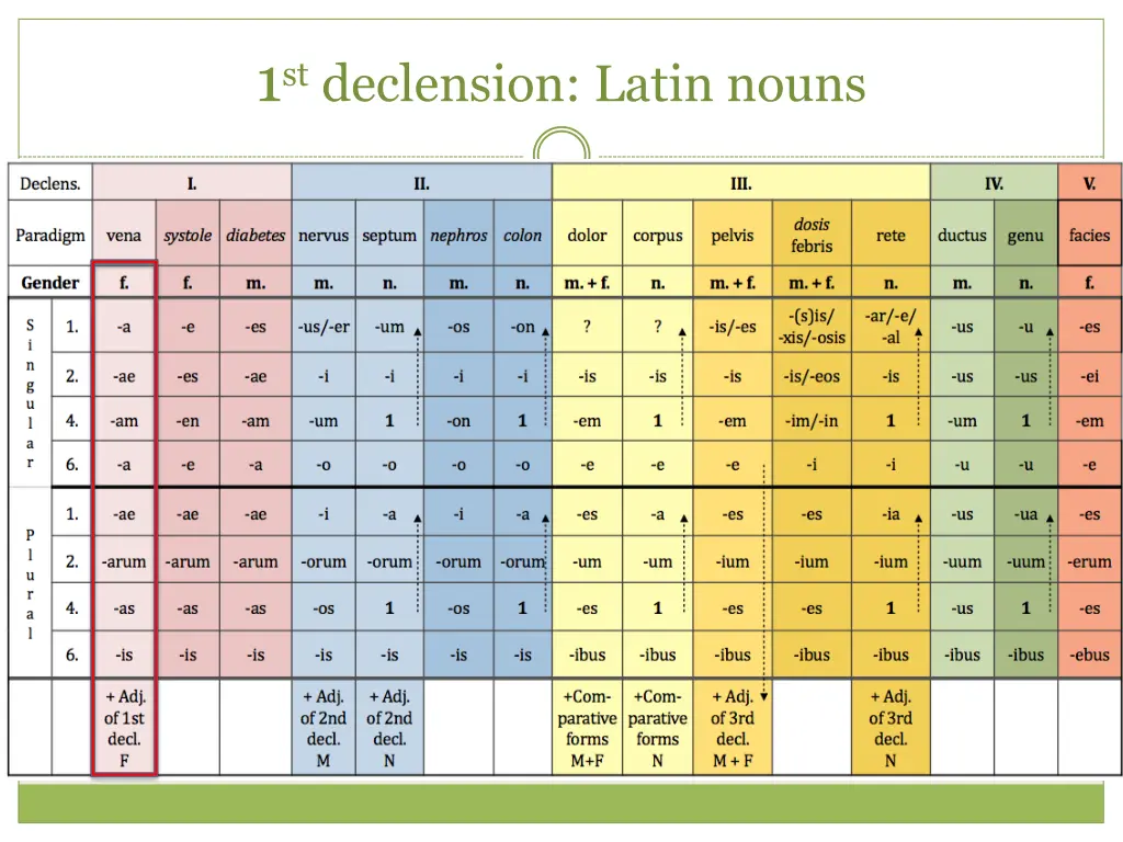 1 st declension latin nouns