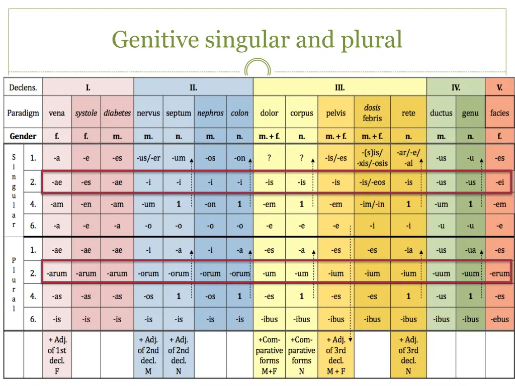 genitive singular and plural