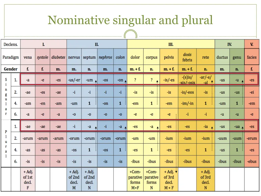 nominative singular and plural