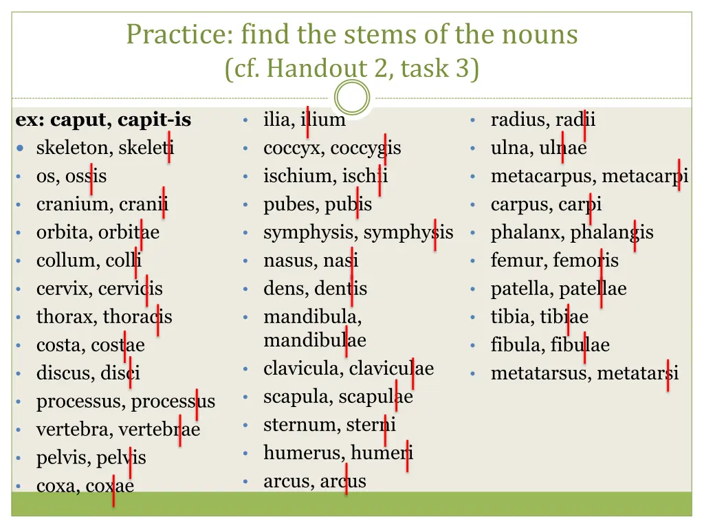 practice find the stems of the nouns cf handout