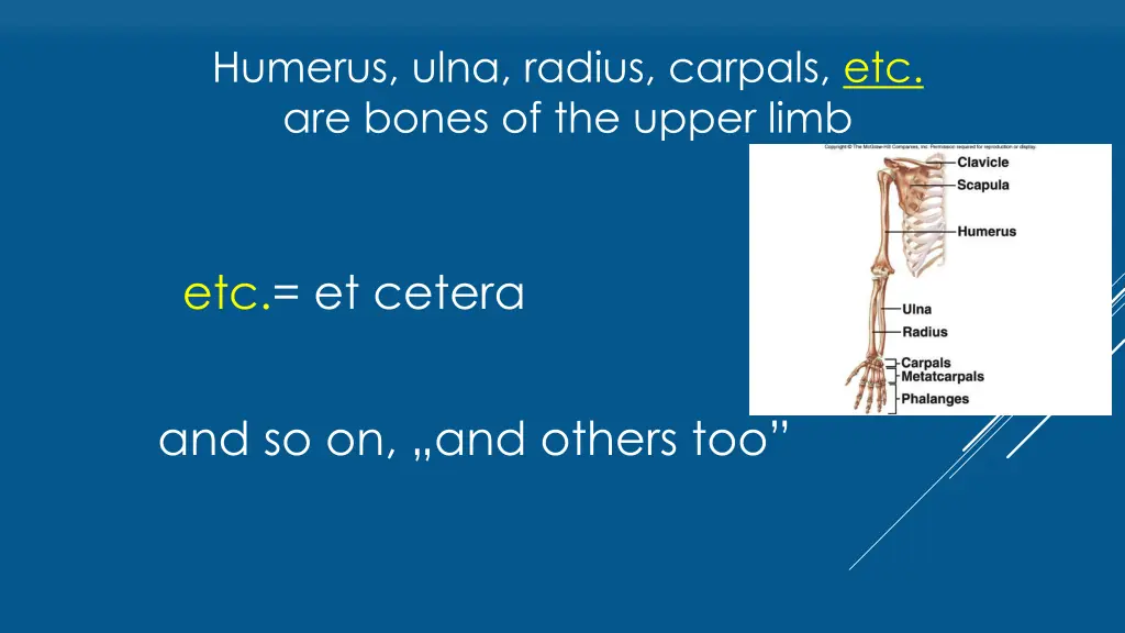 humerus ulna radius carpals etc are bones