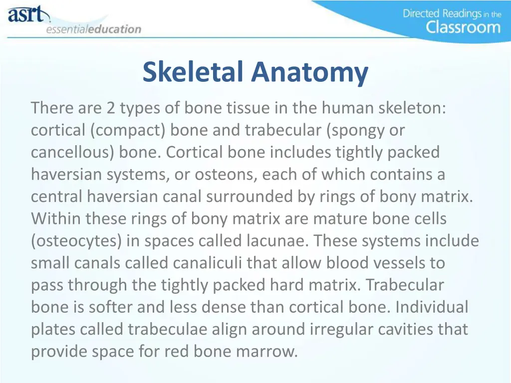 skeletal anatomy 1