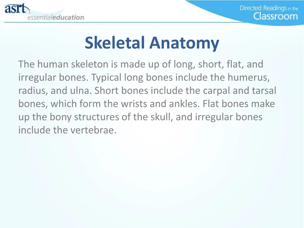 skeletal anatomy