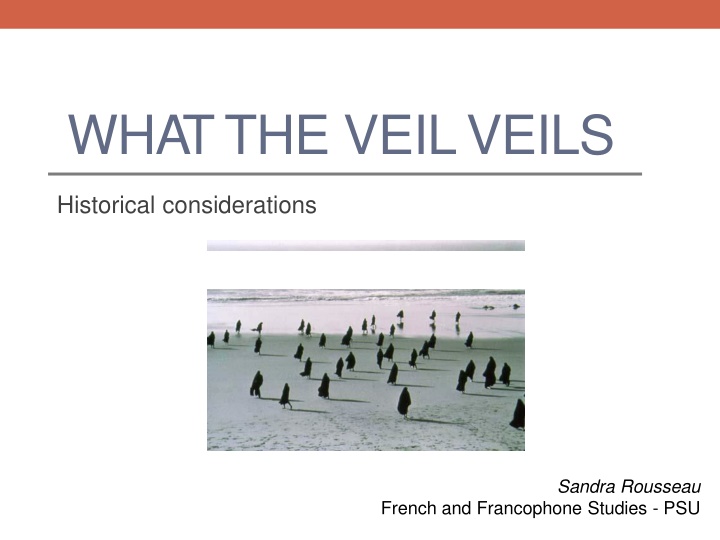 whatthe veilveils