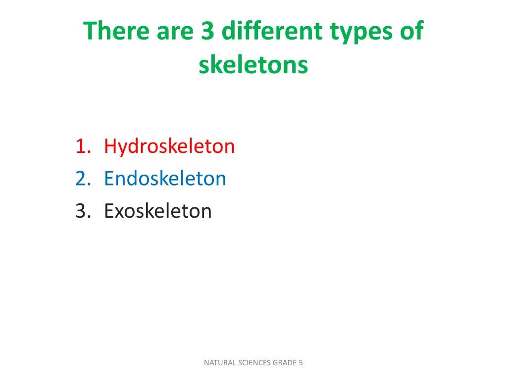 there are 3 different types of skeletons