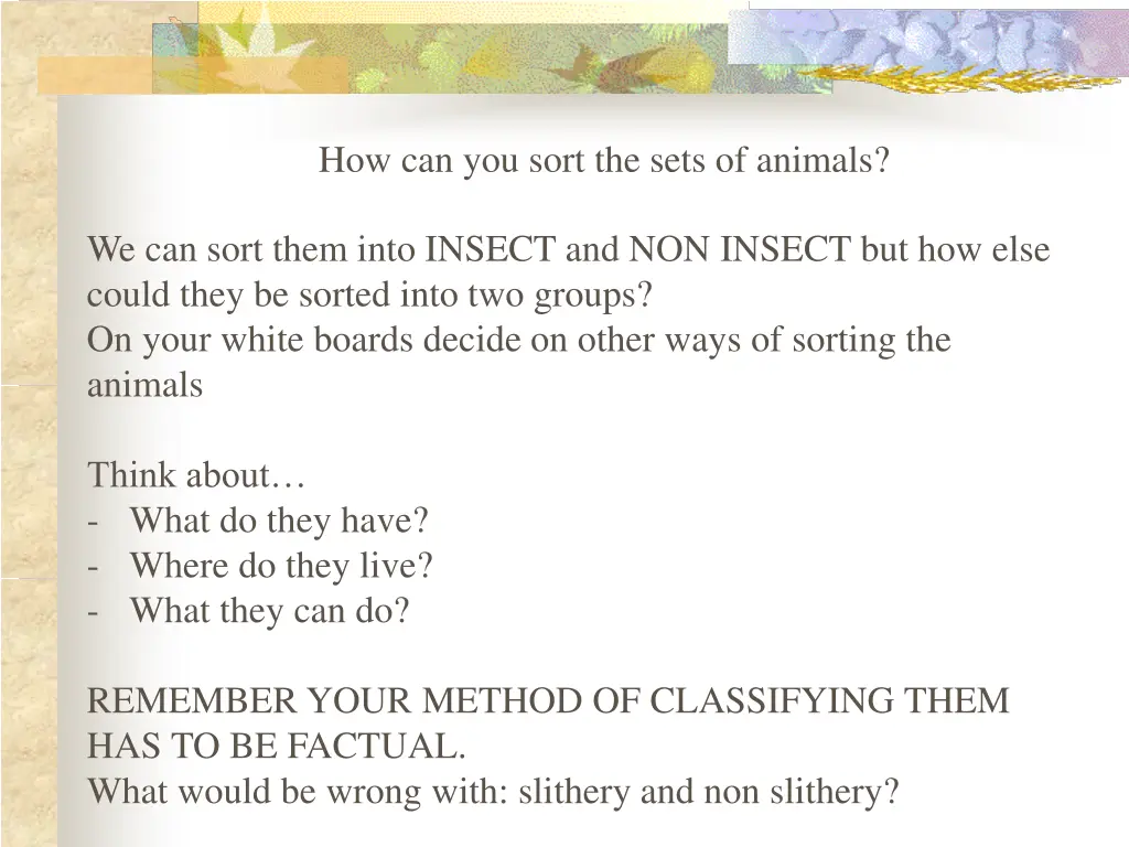 how can you sort the sets of animals